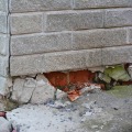 Under Pressure: Signs Your Pier and Beam Foundation Needs Immediate Repair