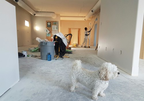 How Professional House Cleaners Can Help With Pier And Beam Foundation Repair In Bellevue