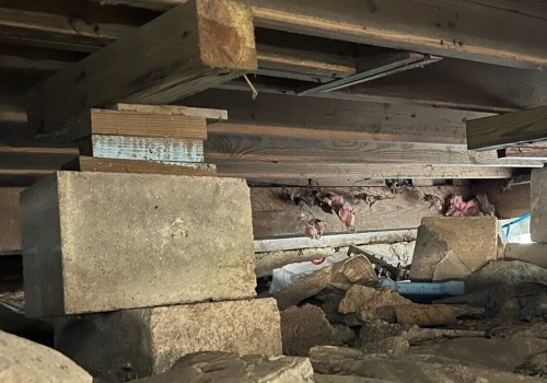 Leveling Up: What to Expect During Pier and Beam Foundation Repair